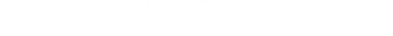 Geely Jiwo Group